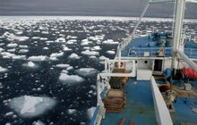 Photo: Andrea Taurisano /Norsk Polarinstitutt.